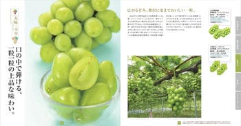 商品イメージのサムネイル　九州七つ星ギフト 10000円コース