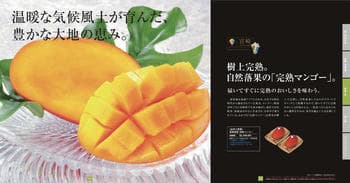 商品イメージのサムネイル　九州七つ星ギフト 10000円コース