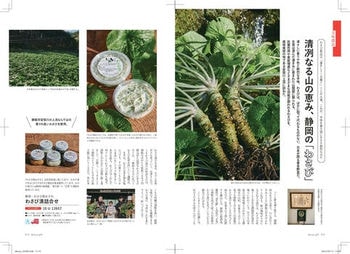 商品イメージのサムネイル　dancyu(ダンチュウ) グルメギフトカタログ ＜CA＞