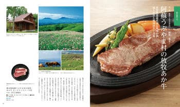 商品イメージのサムネイル　家庭画報 グルメギフトカタログ　＜わかなえ＞