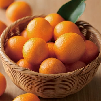 商品イメージのサムネイル　Made In Japan with 日本のおいしい食べ物 (カードカタログ) ＜橙(だいだい)＞