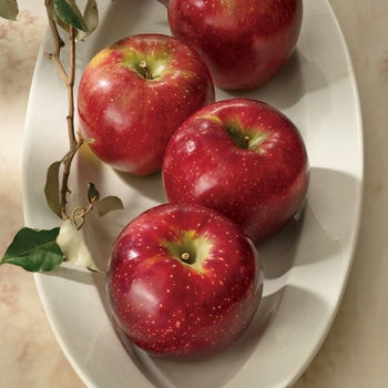 商品イメージのサムネイル　Made In Japan with 日本のおいしい食べ物 (カードカタログ) ＜藍(あい)＞