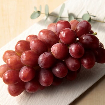 商品イメージのサムネイル　Made In Japan with 日本のおいしい食べ物 (カードカタログ) ＜茜(あかね)＞