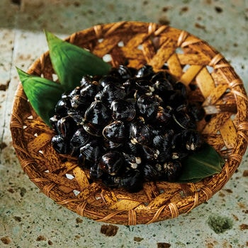 商品イメージのサムネイル　Made In Japan with 日本のおいしい食べ物 (カードカタログ) ＜柳(やなぎ)＞