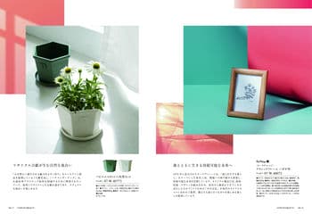 商品イメージのサムネイル　選べるギフト 沙羅(さら) ＜楓(かえで)＞